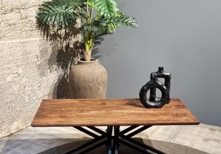 Jasmin Rectangular Coffee Table 120