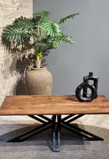 Jasmin Rectangular Coffee Table 120